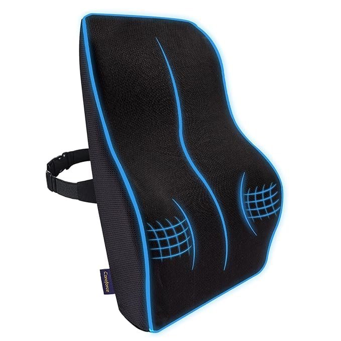 Car & Chair back support